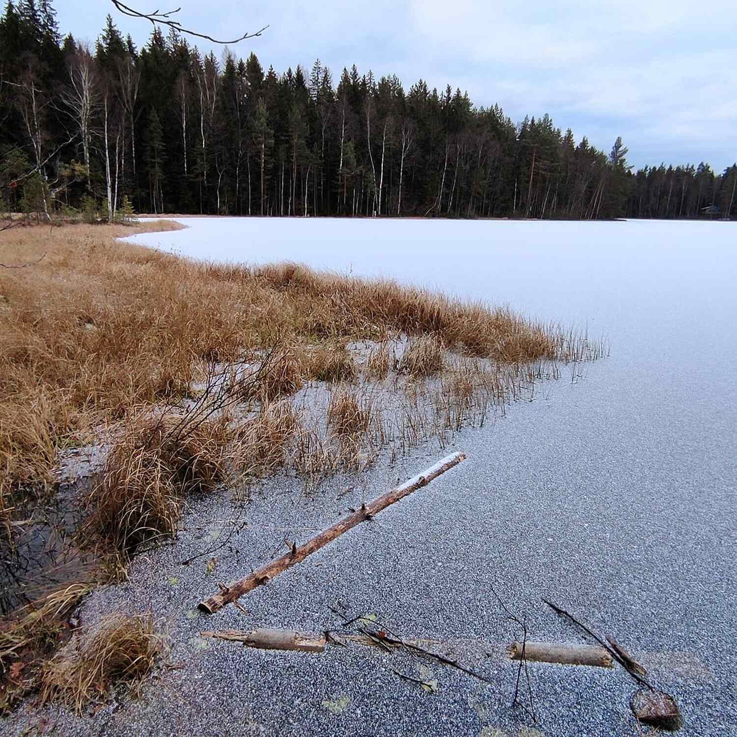 Sipoonkorpi National Park