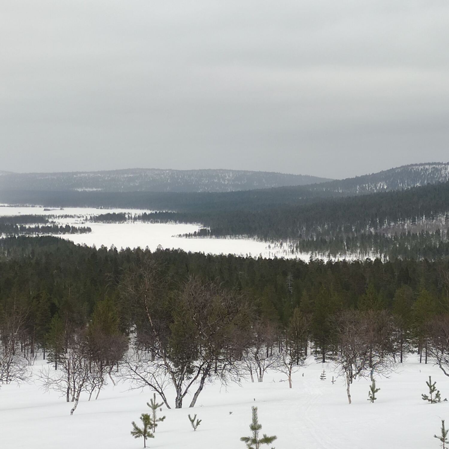Ski tour to Hammastunturi