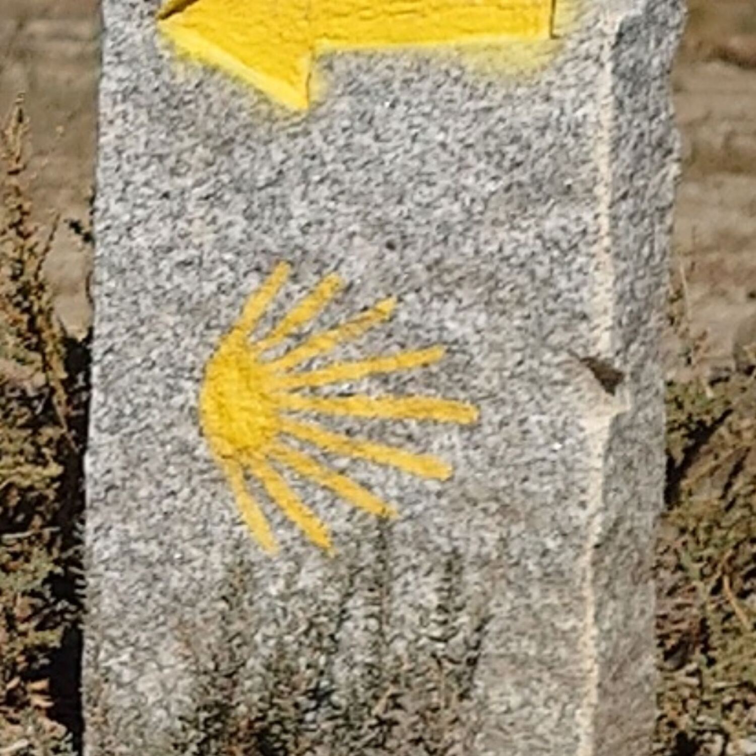 Camino Mozarabe 2025