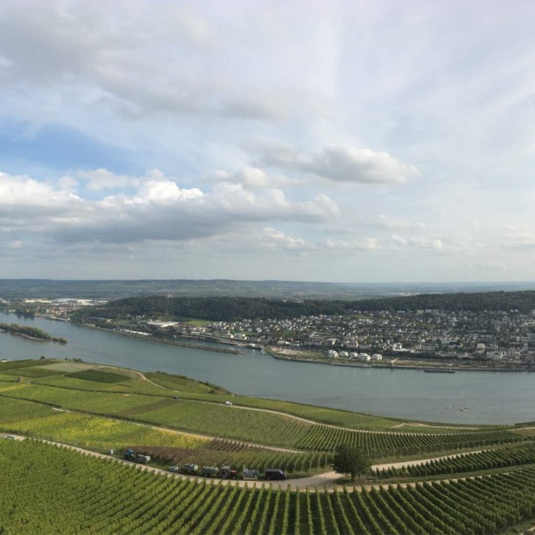 Rheinsteig
