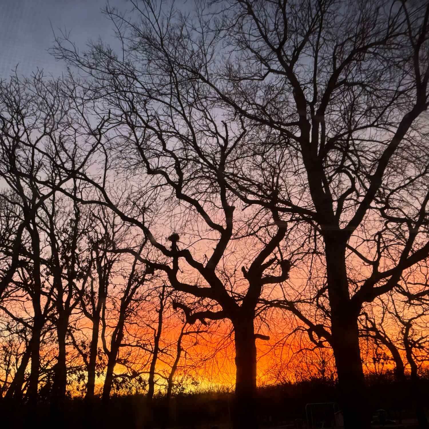 Southwest for the Holidays