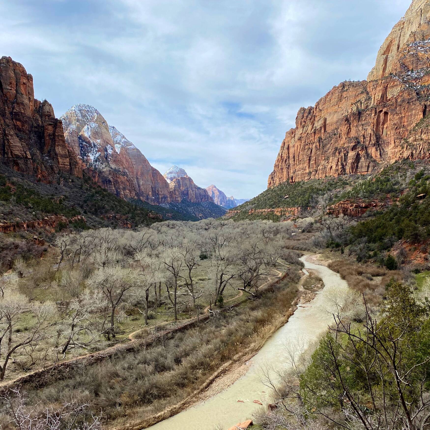 Zion NP