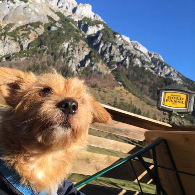 Mit Strolchi in Werfen