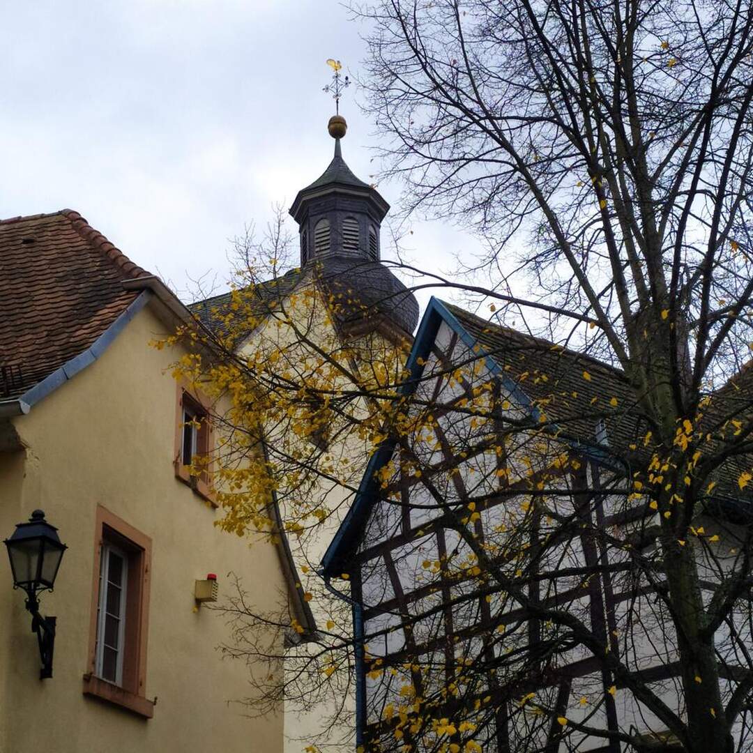 Liebe in Zeiten der Cholera