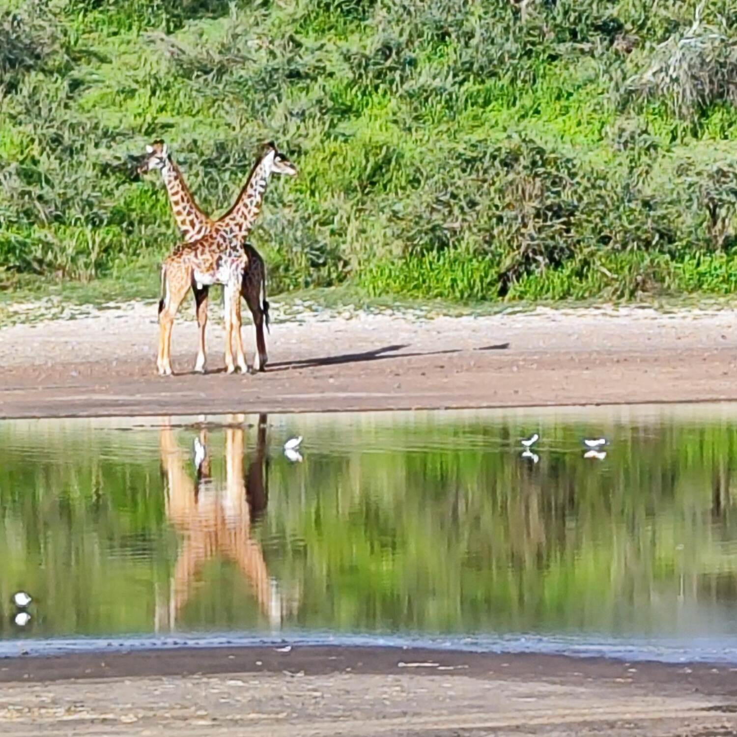 Tanzania