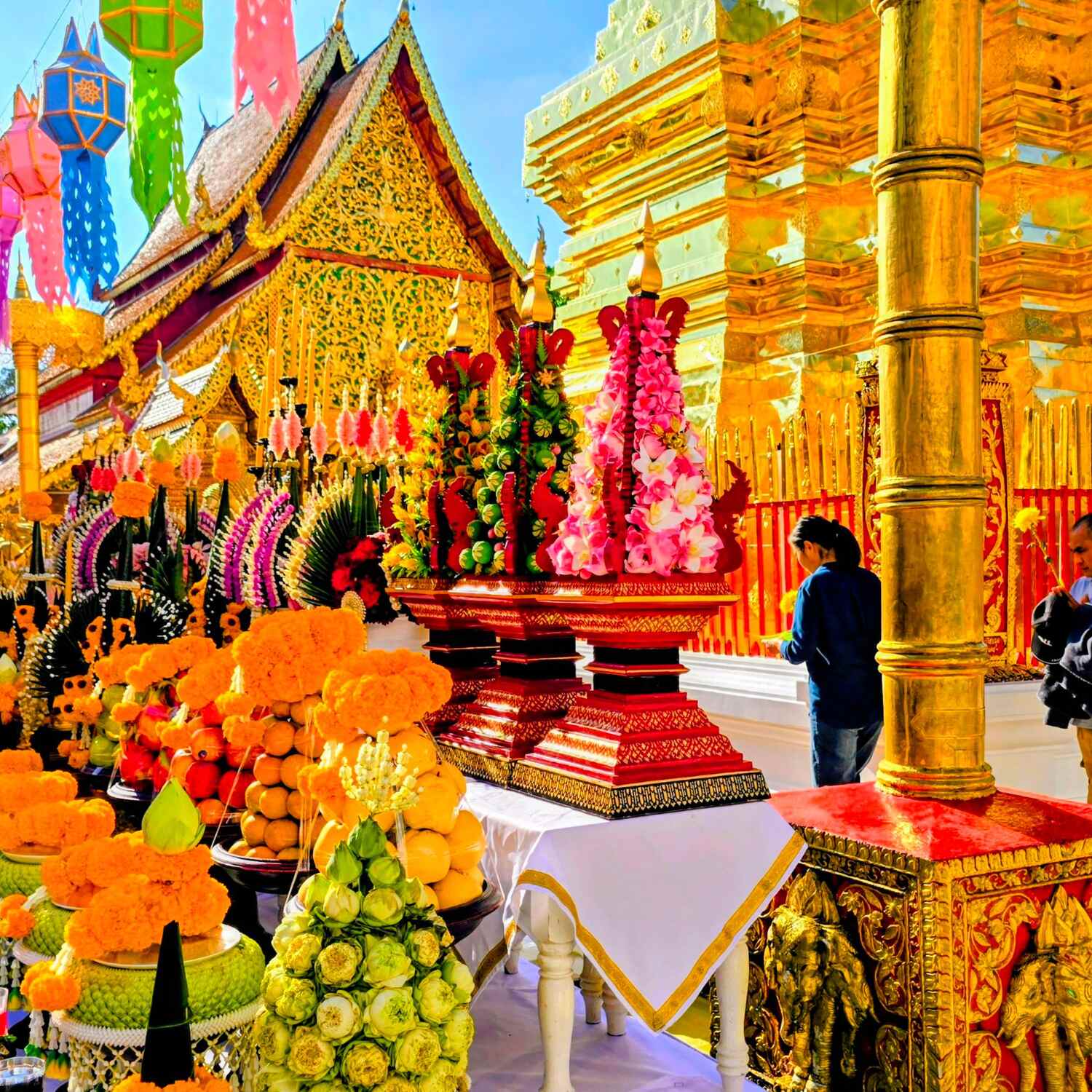 Tempel, Tiere, Thailand