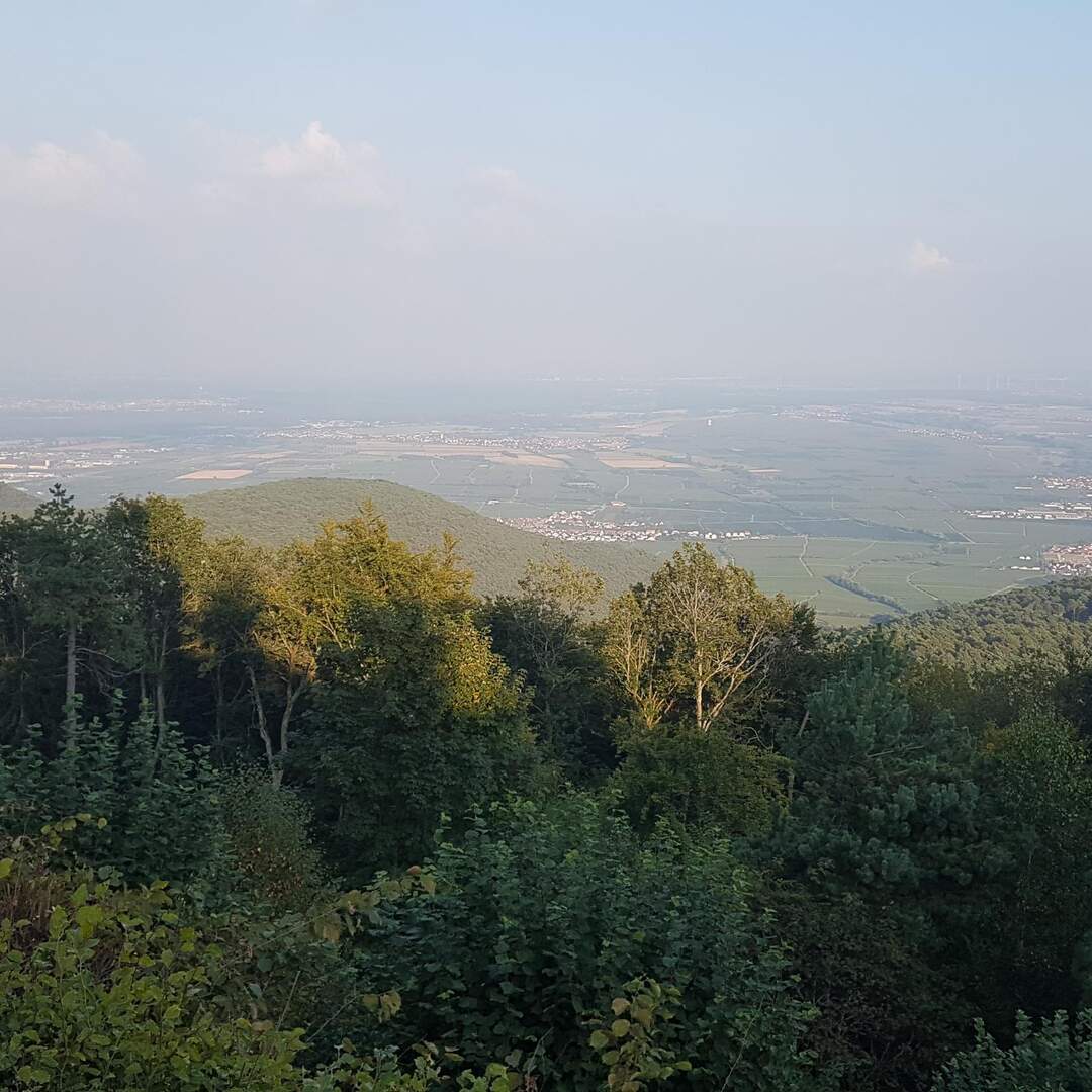 Pfalz, one-day-stand