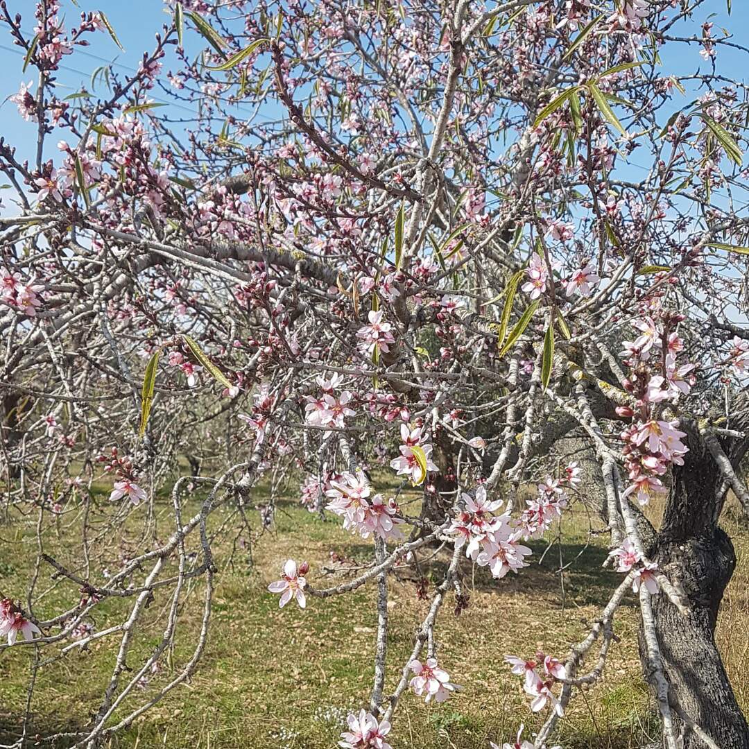 Per Kopfsprung in den Frühling