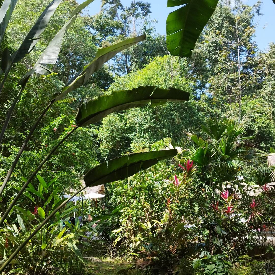 Costa Rica