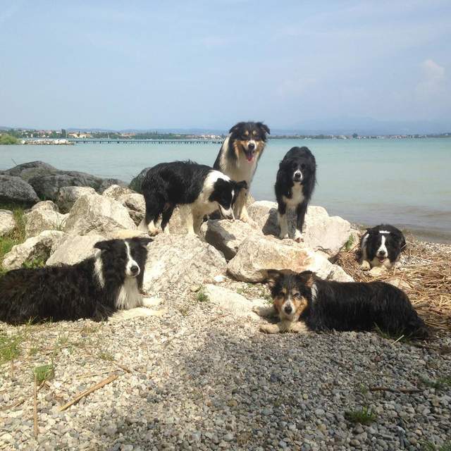 Einmal Gardasee und zurück