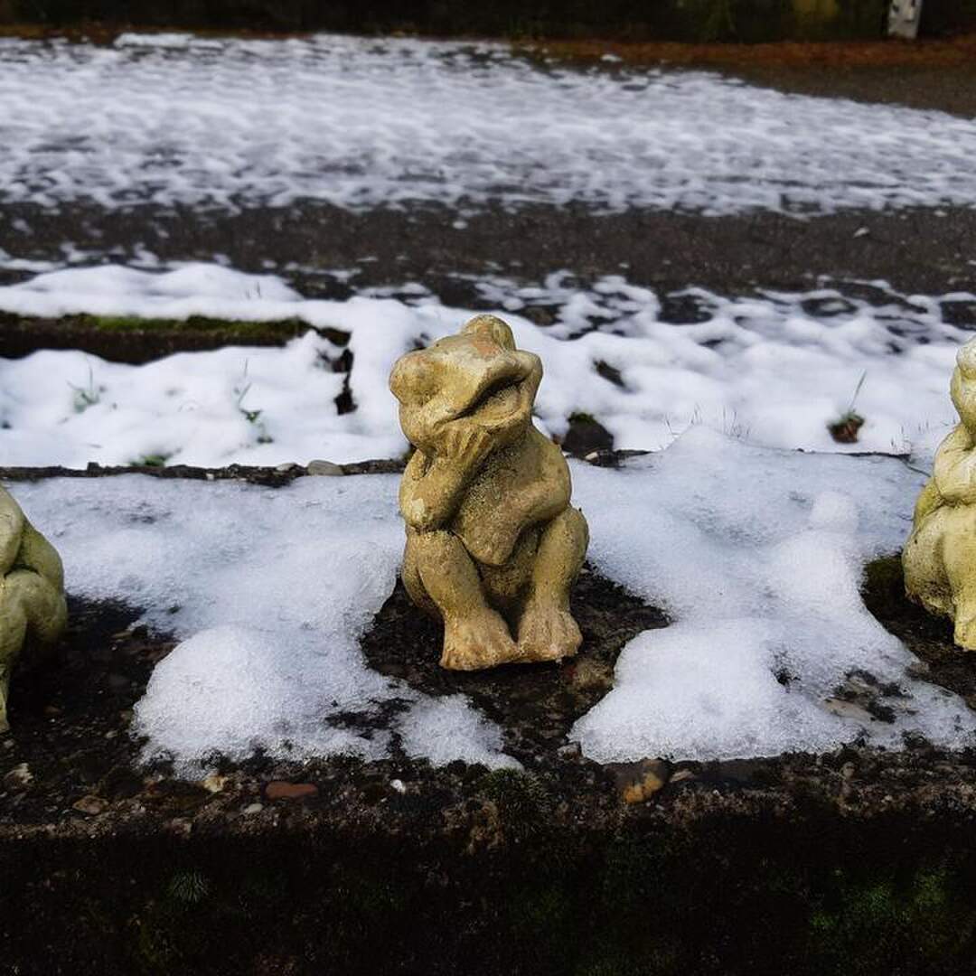 Grüner Smaragtkäfer