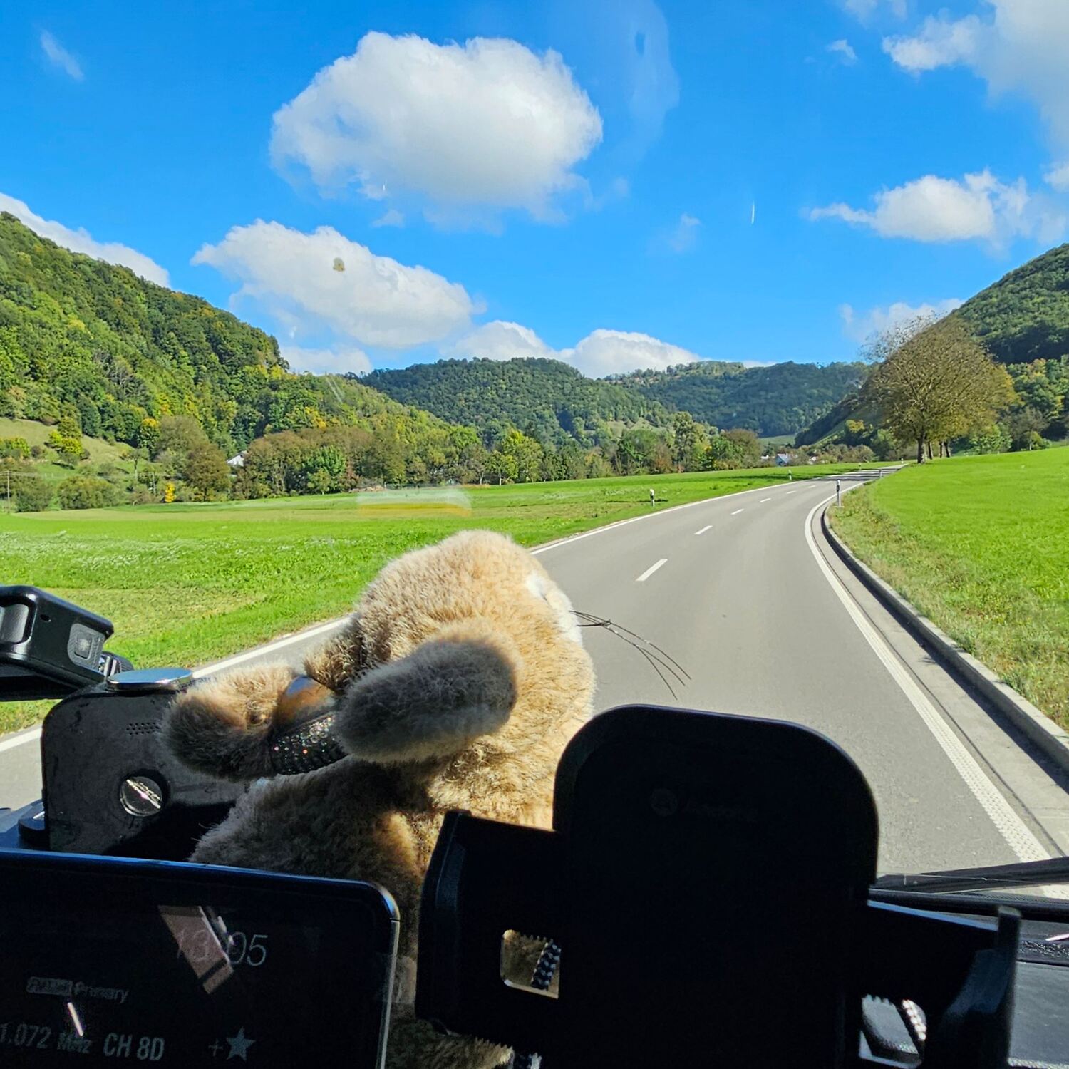 Mal kurz die Sonne ausnutzen