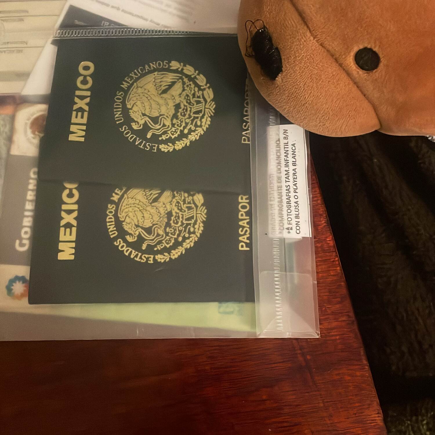 Rumbo a la Antártida