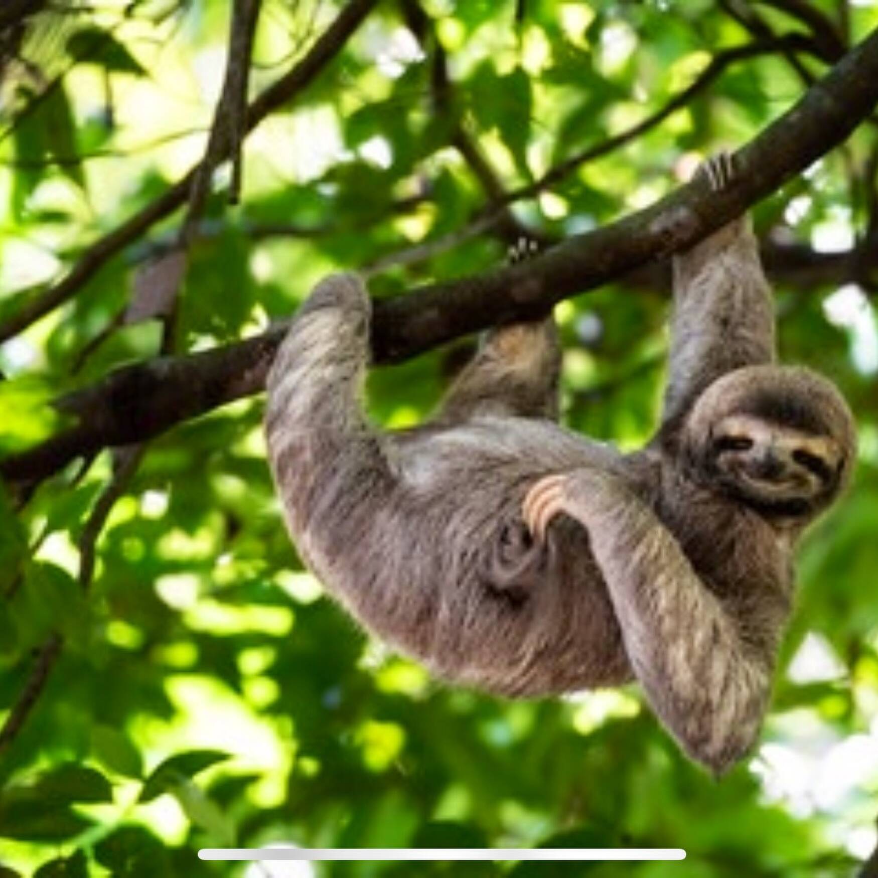 Panama - Costa Rica