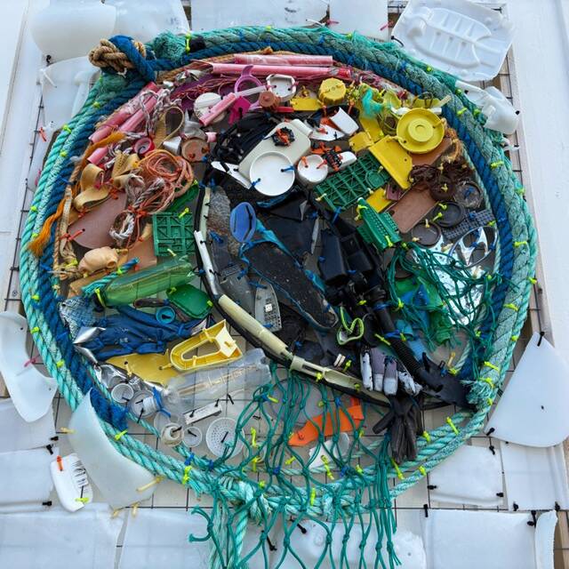 Alexandra Schulz-Behrend