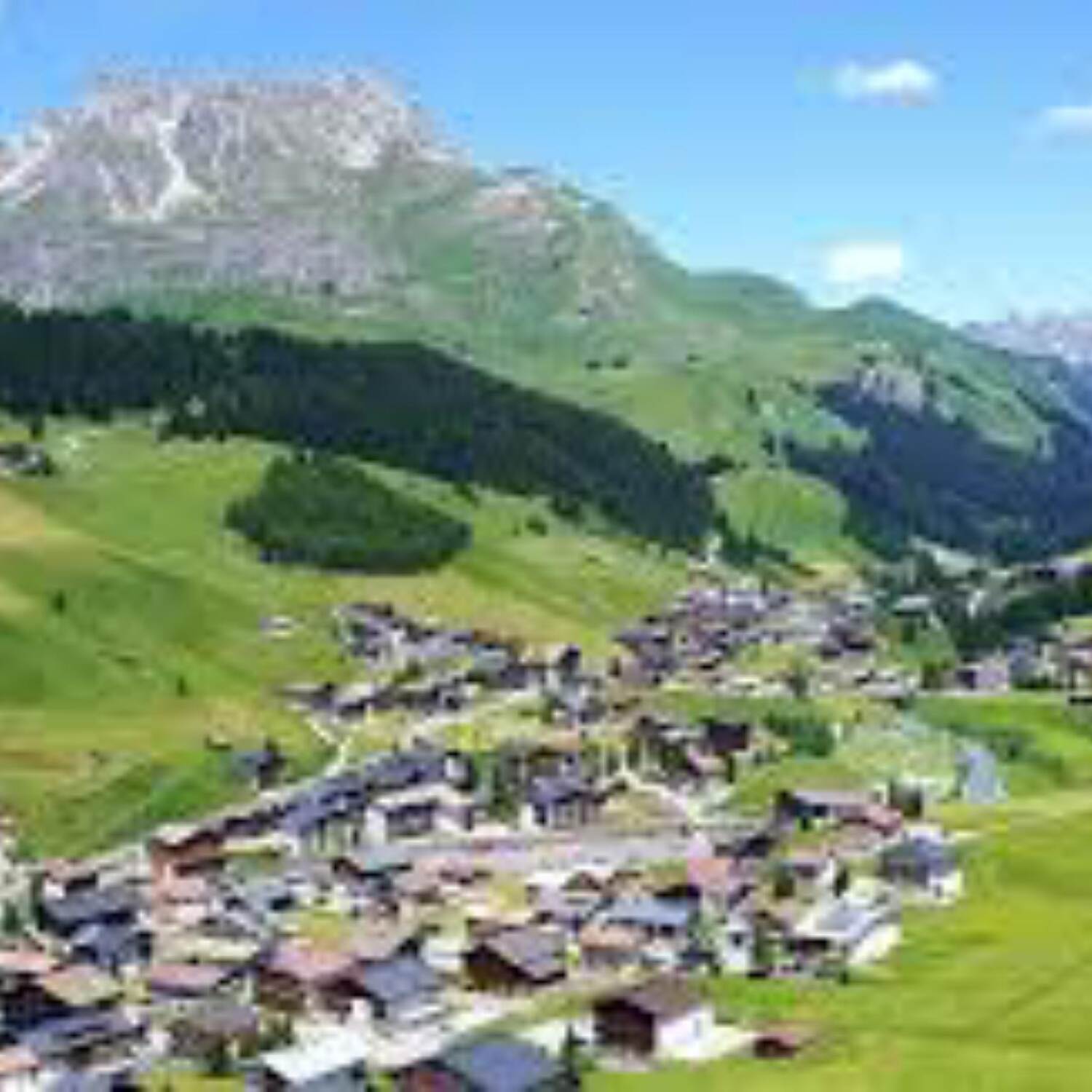 Alperna