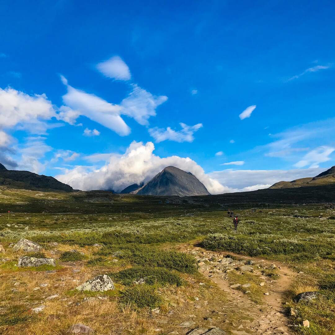 Kungsleden