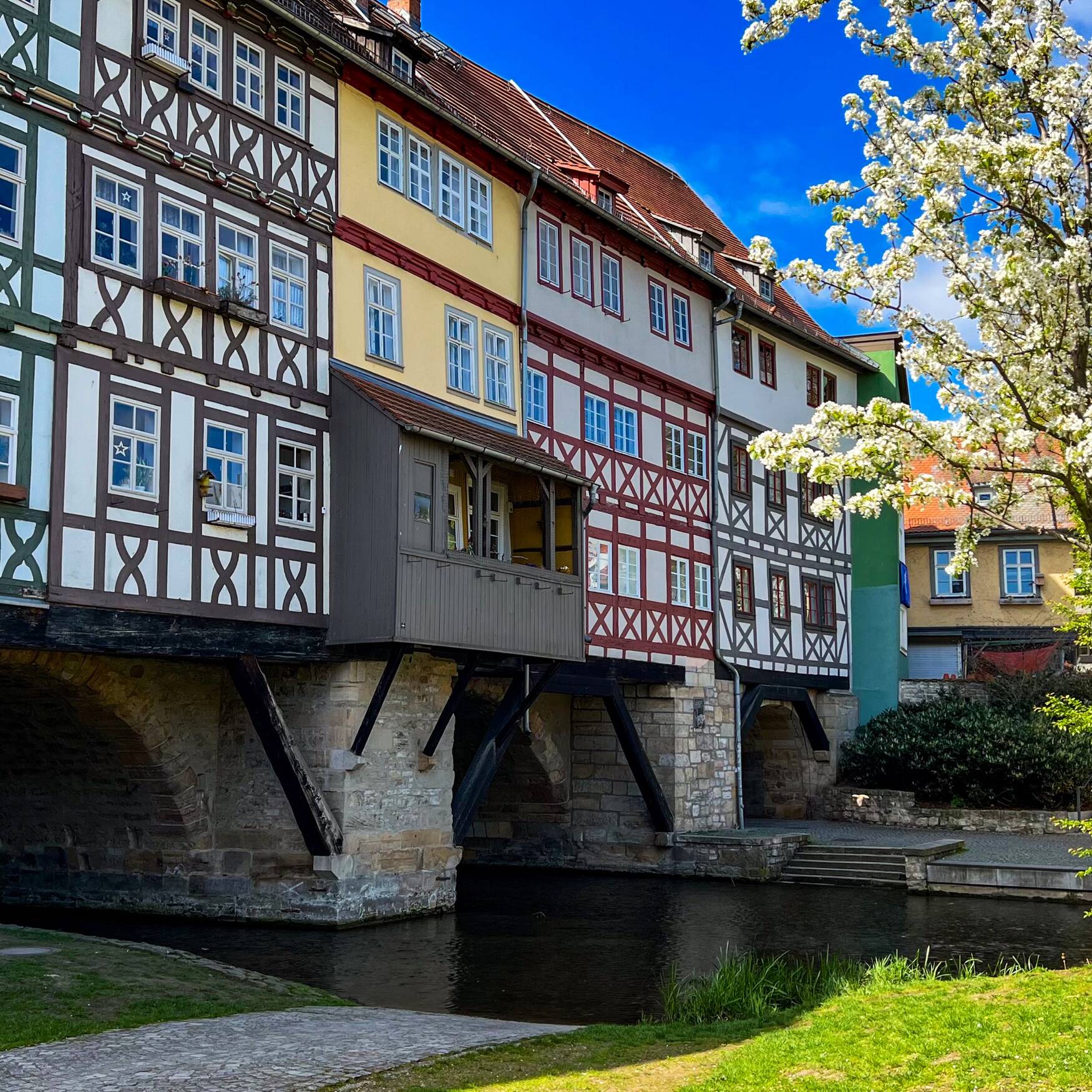 Grünes Herz