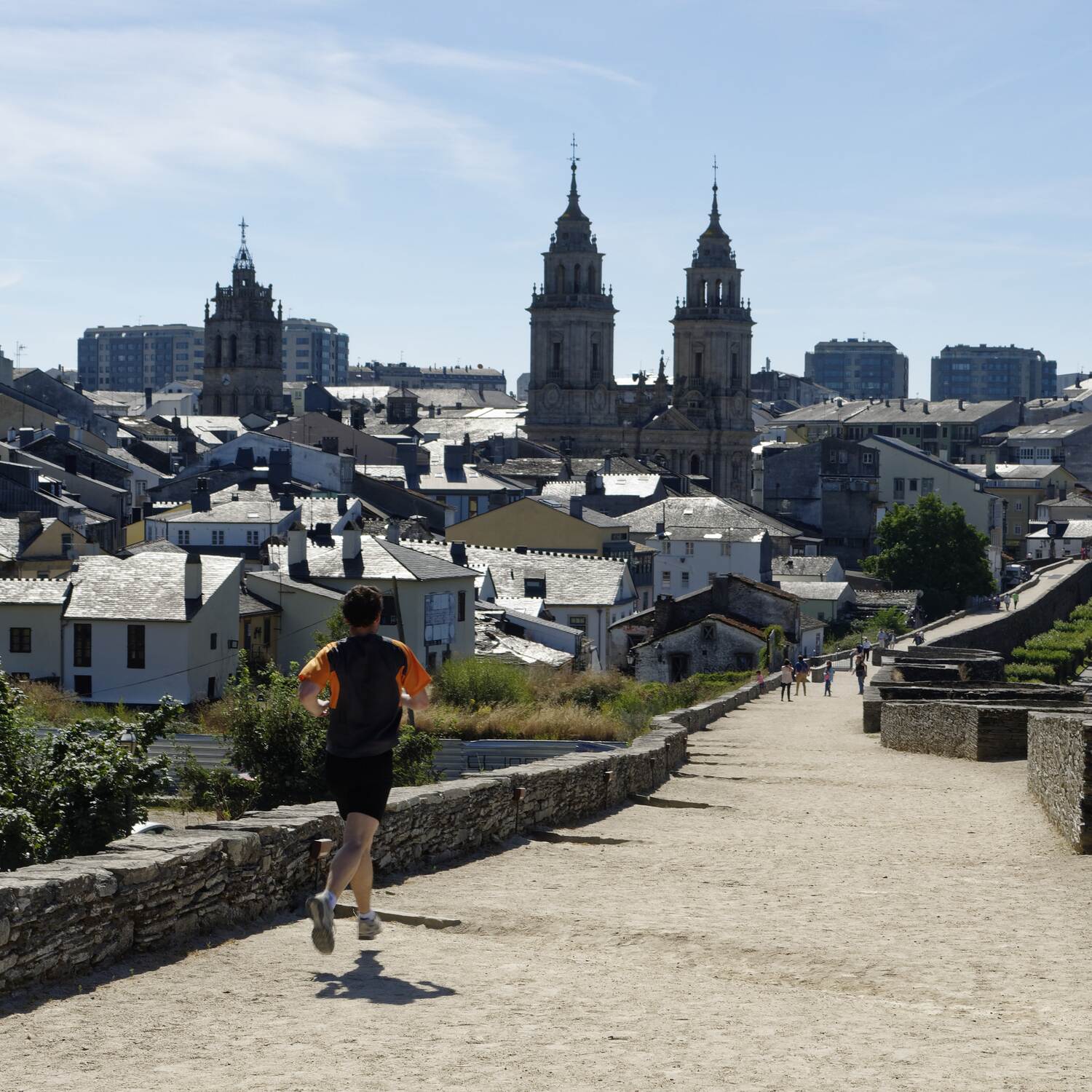 Pontevedra and Lugo