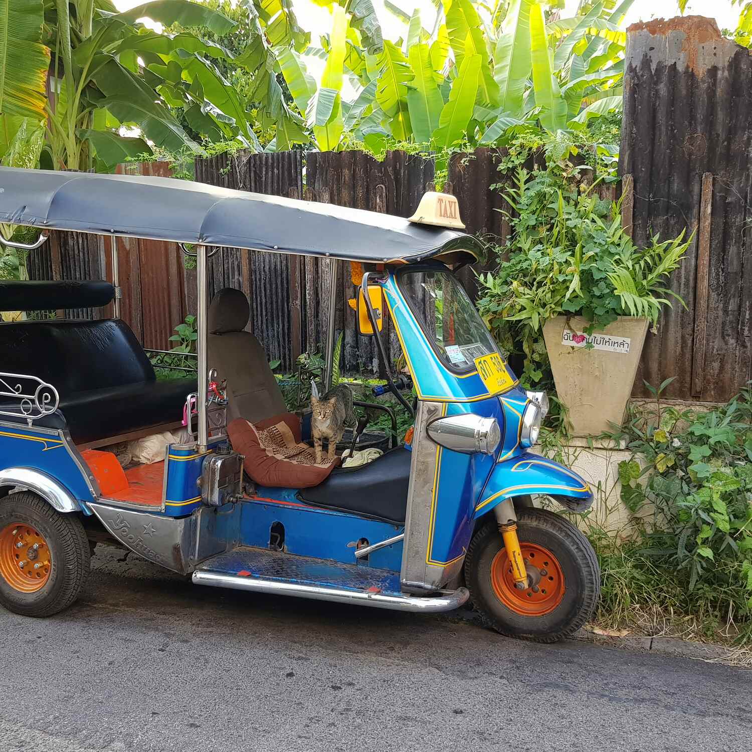 Chiang Mai 2019