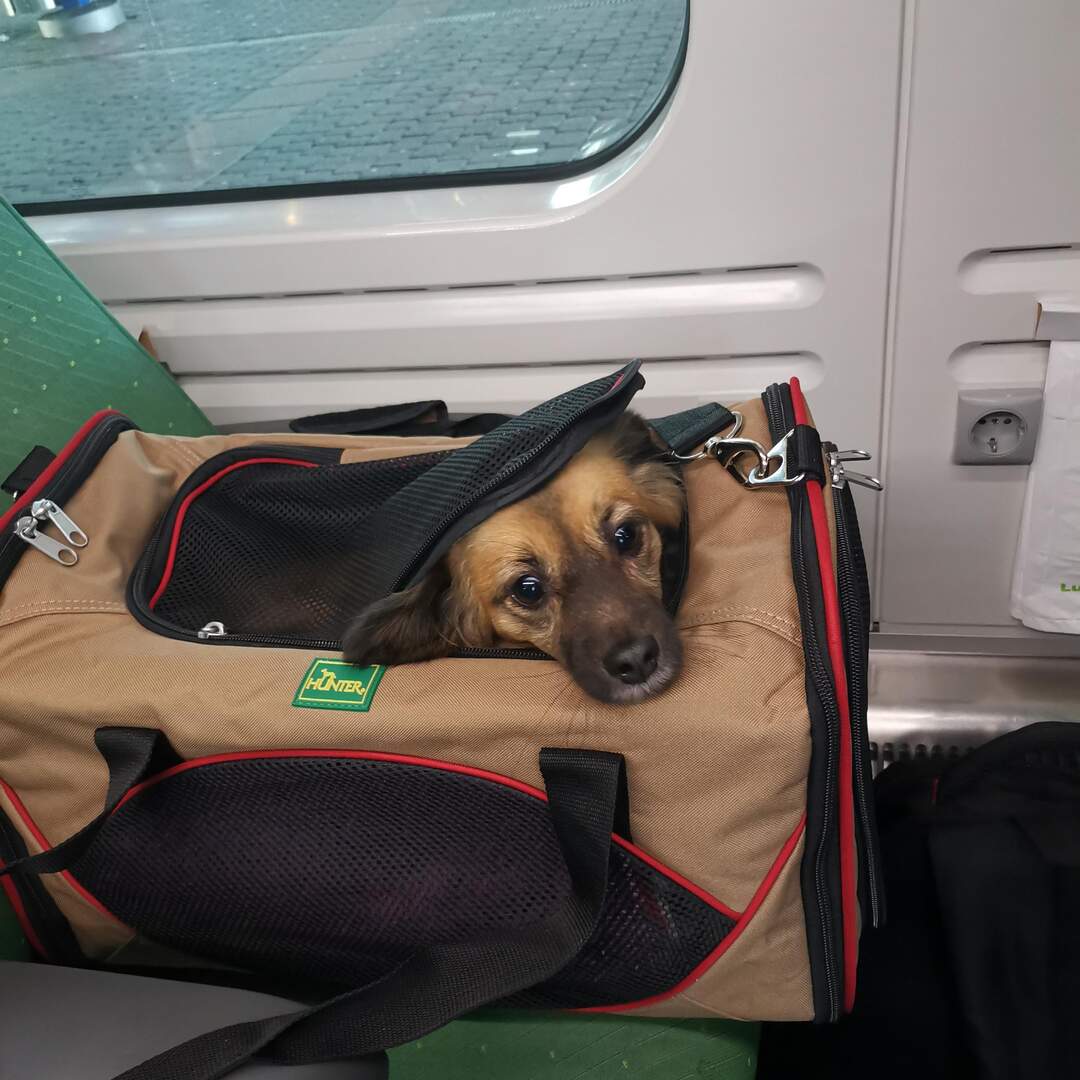 Helsinki weekend trip