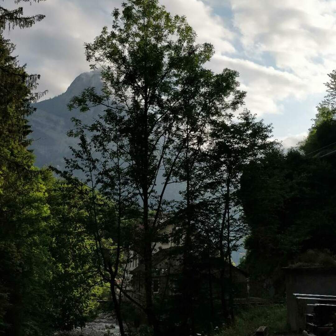 Wangs - Zentrum der Schweiz