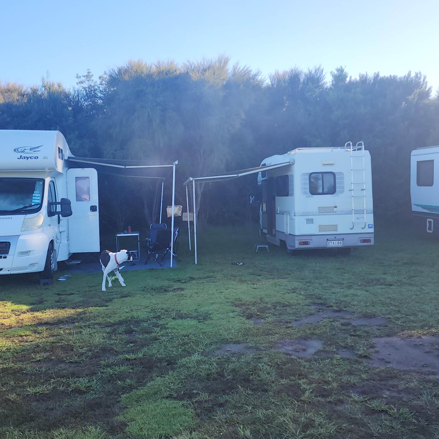 Neil's on Wheels and Bessie
