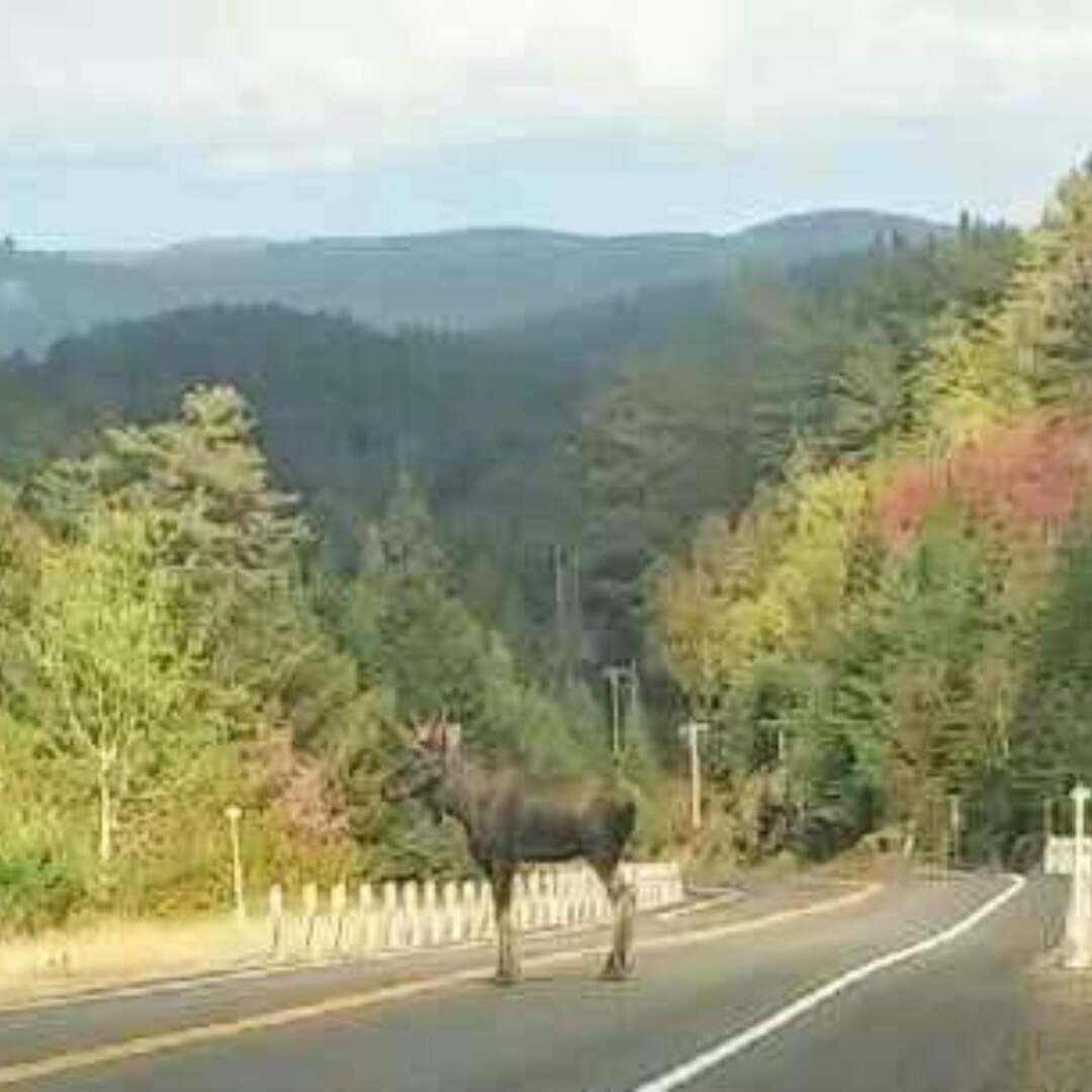 Canada