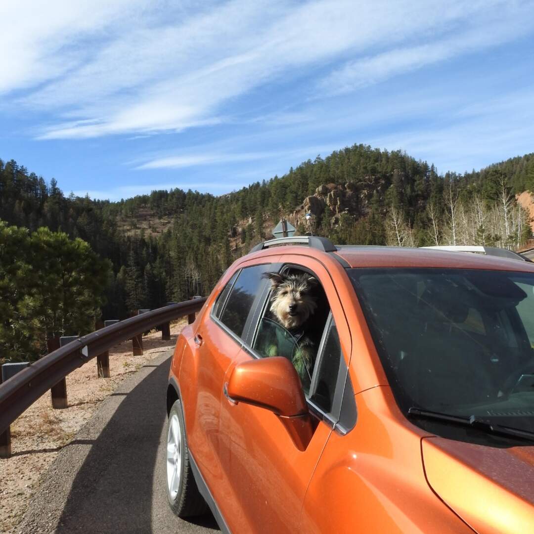 Trixie's Big Adventure