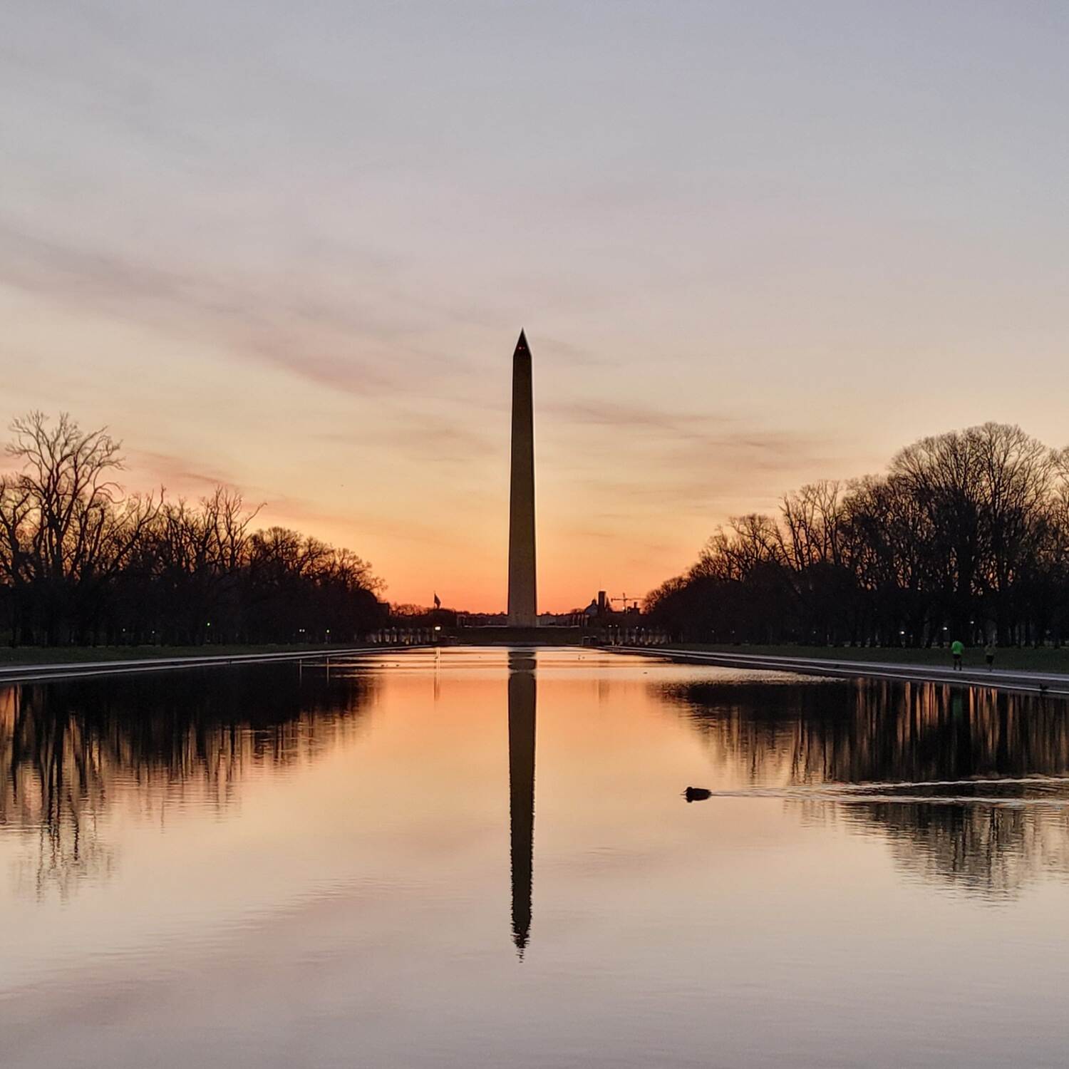 Washington DC
