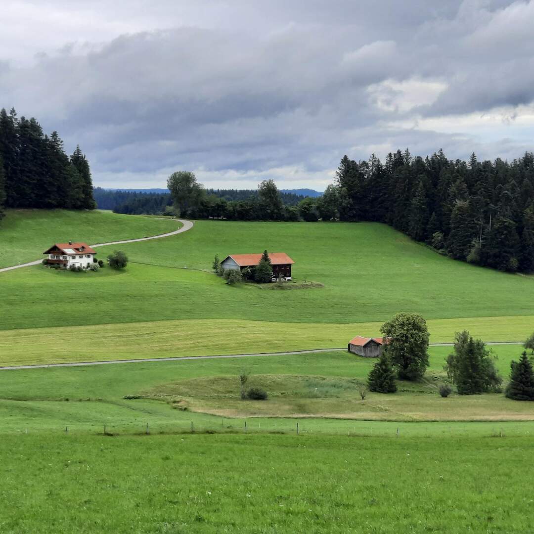 Sommer 2021