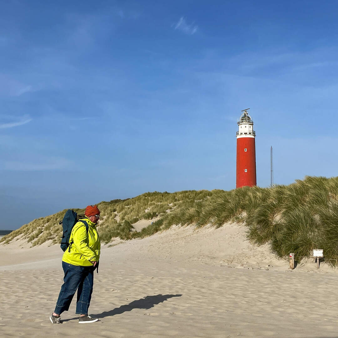 Texel 2022