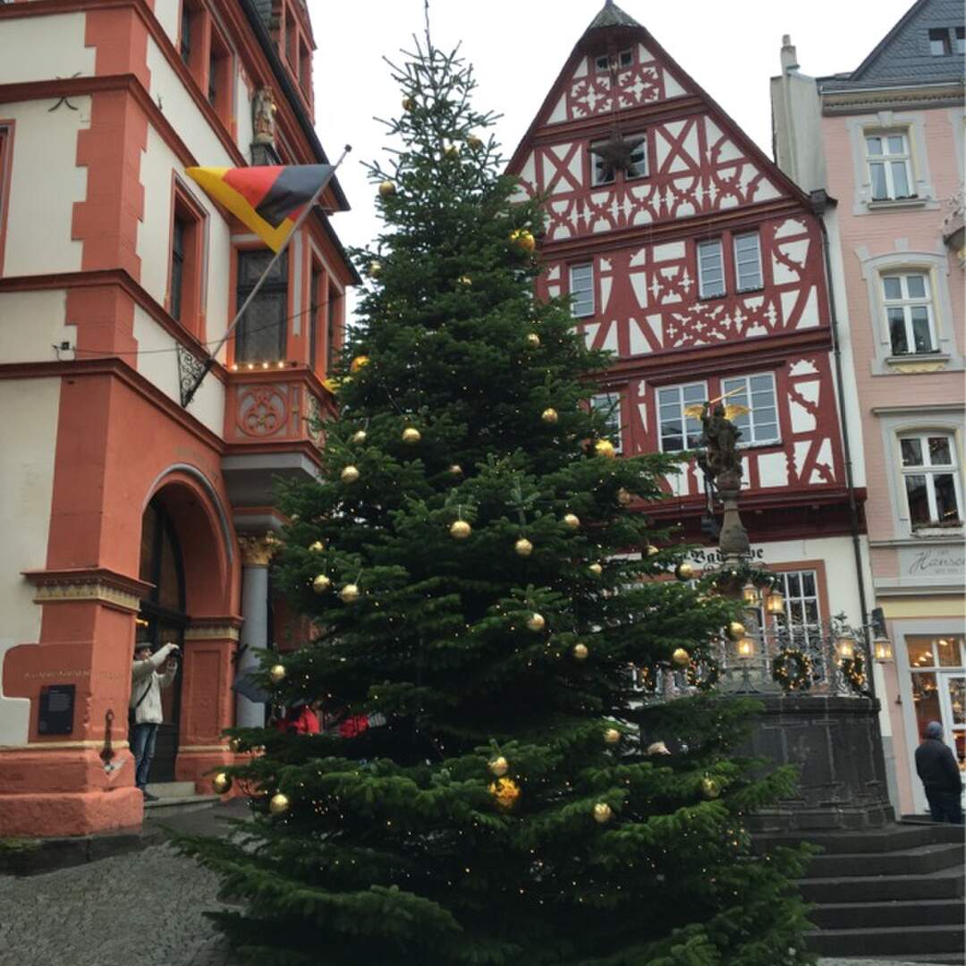Mosel 2019