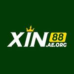 xin88 aeorg