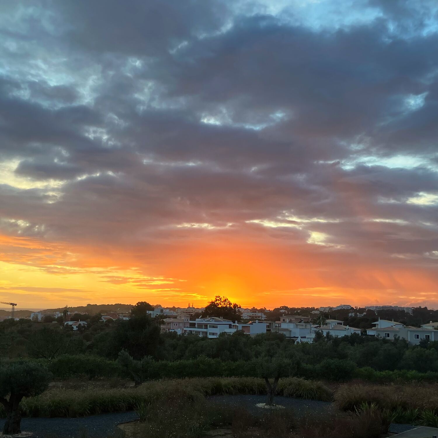 Zurück in die Heimat