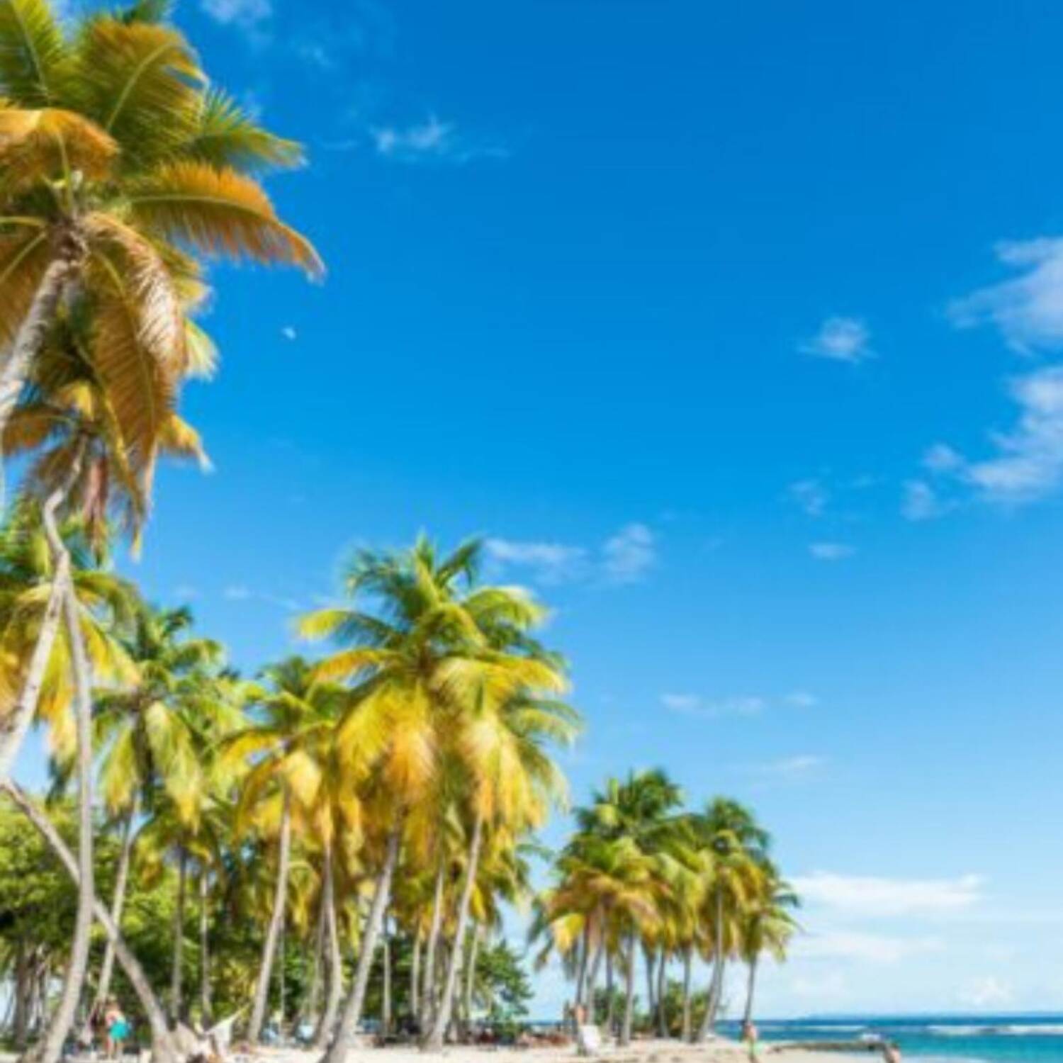 Guadeloupe 2025