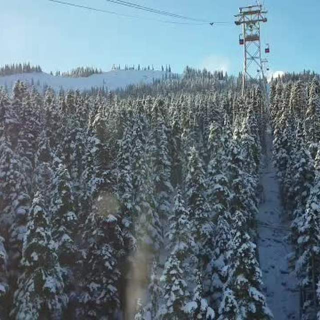 Whistler BC, Winter 2018/19