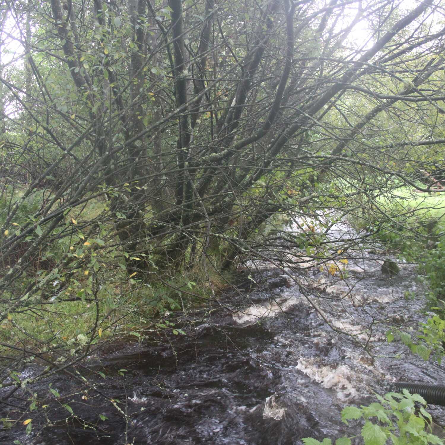 Welshpool, Wales
