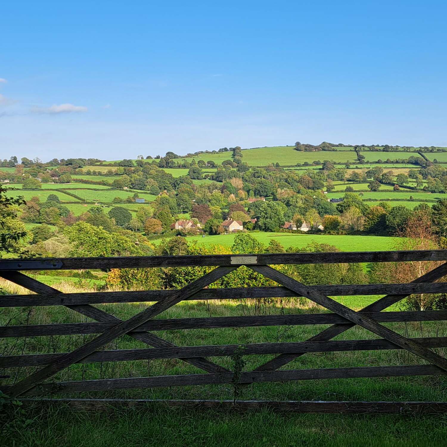 Thorncombe, Dorset