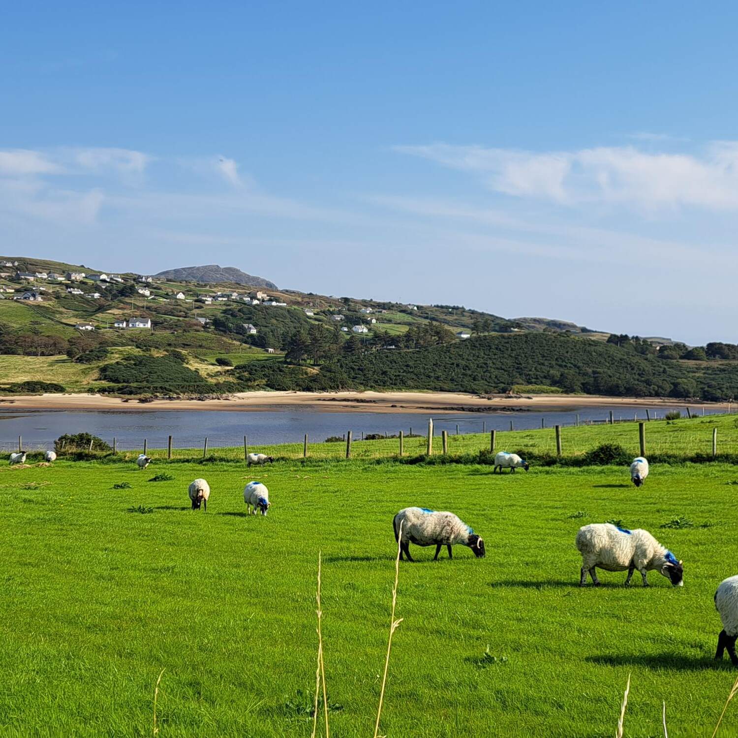 Ireland