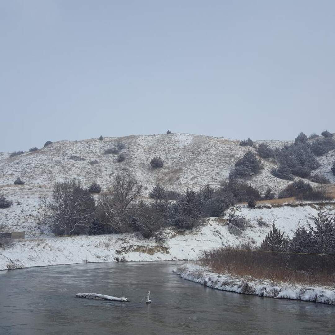 2019 Polar Bear Tank Race