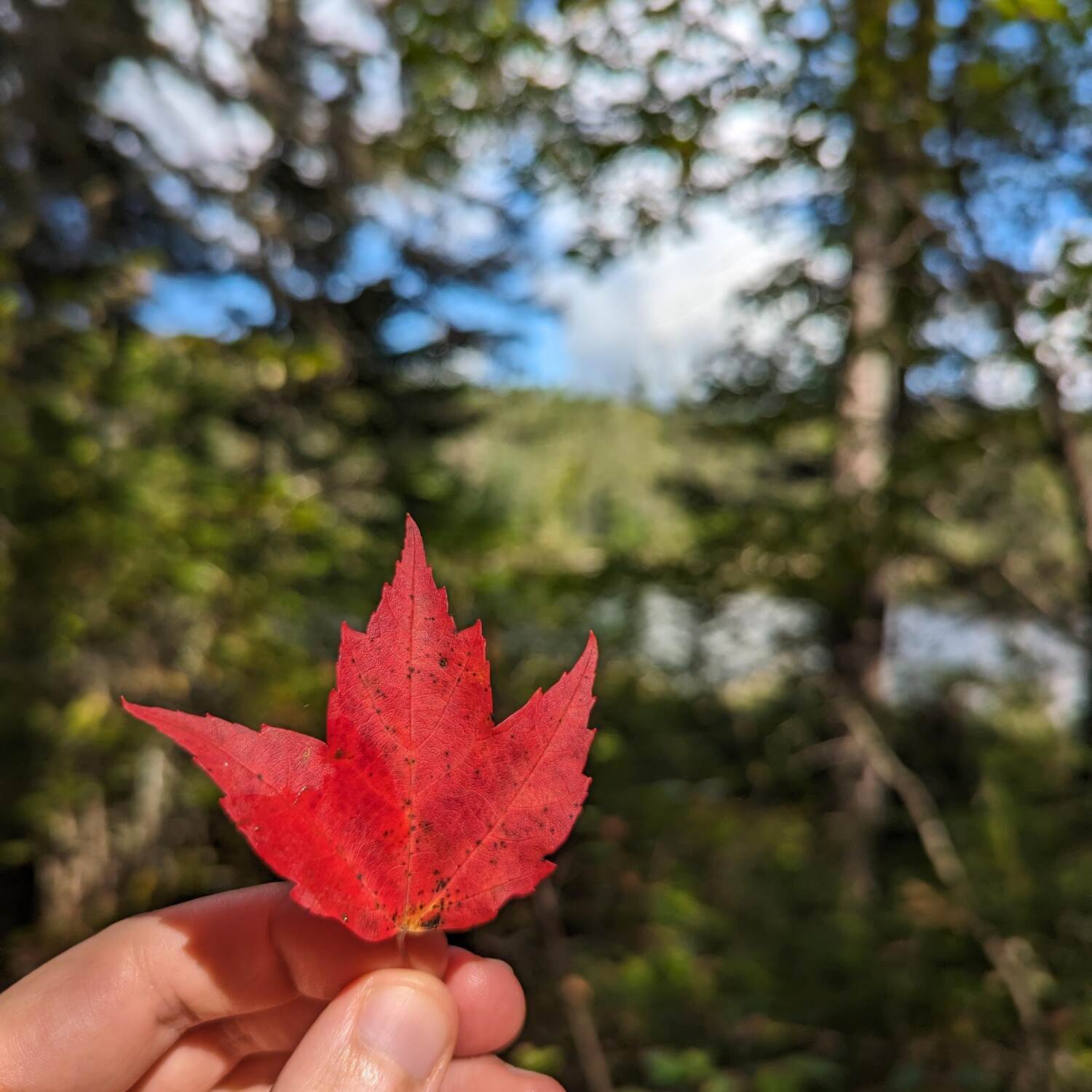 Canada trip