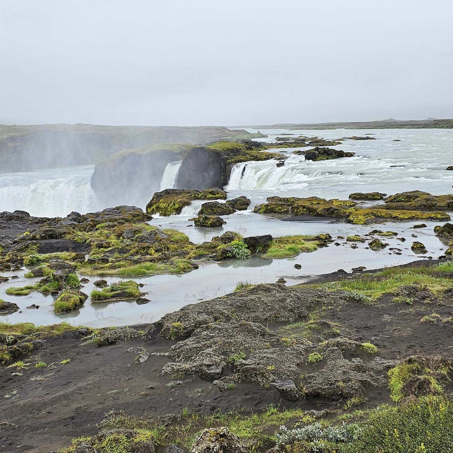 Neat Nordic Navigation