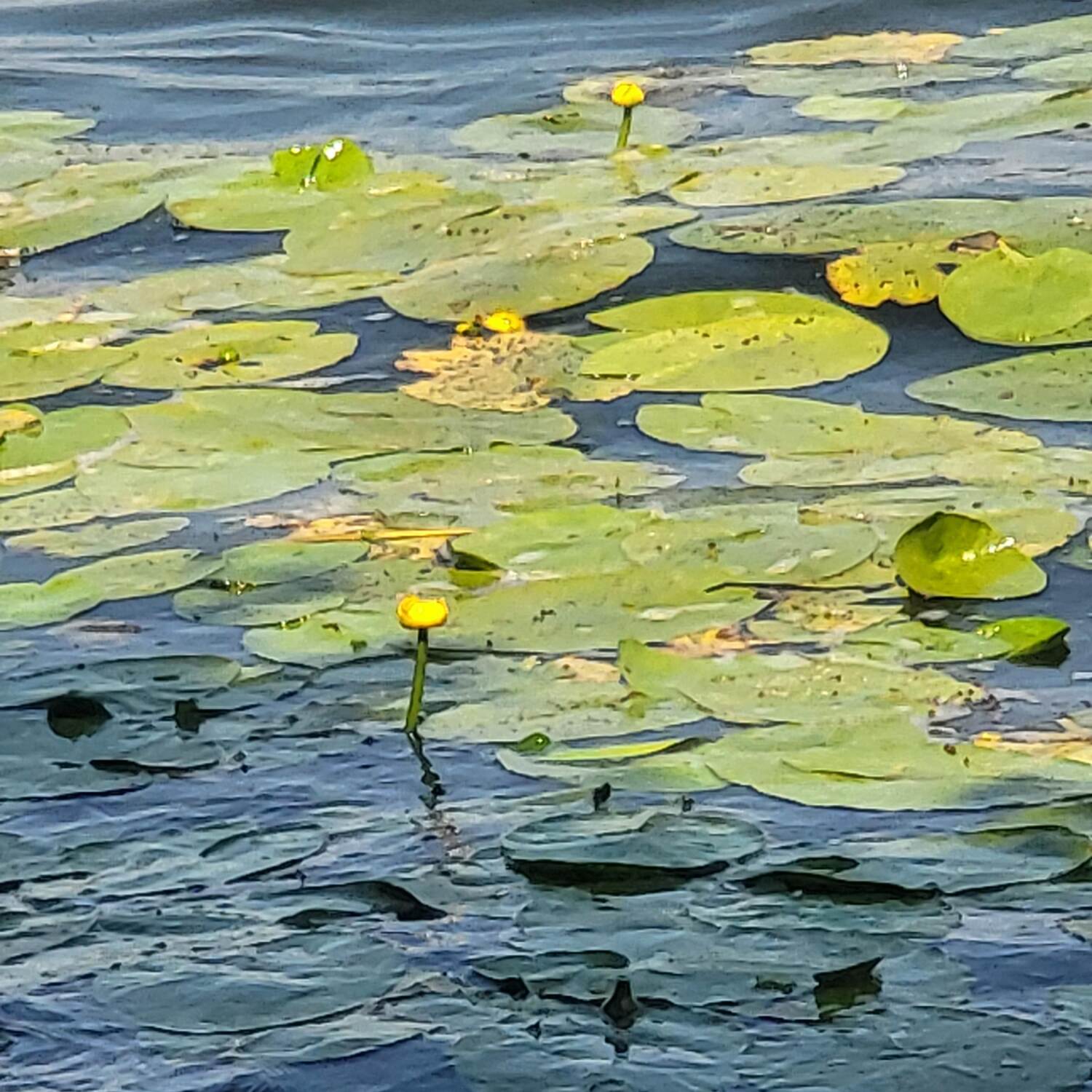 Montage Richtung Süden