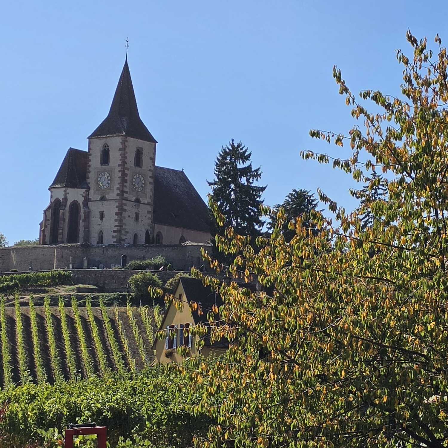 Frankreich - Elsass 2026