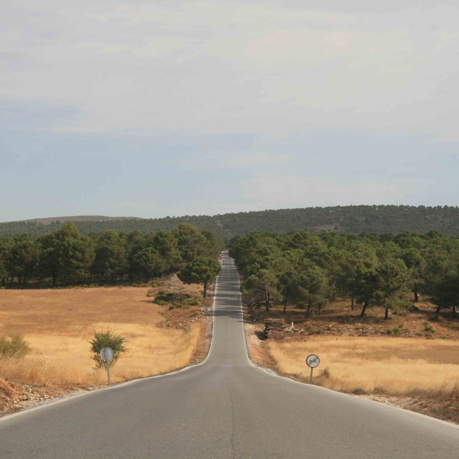 Sierra Nevada Spanien 2008