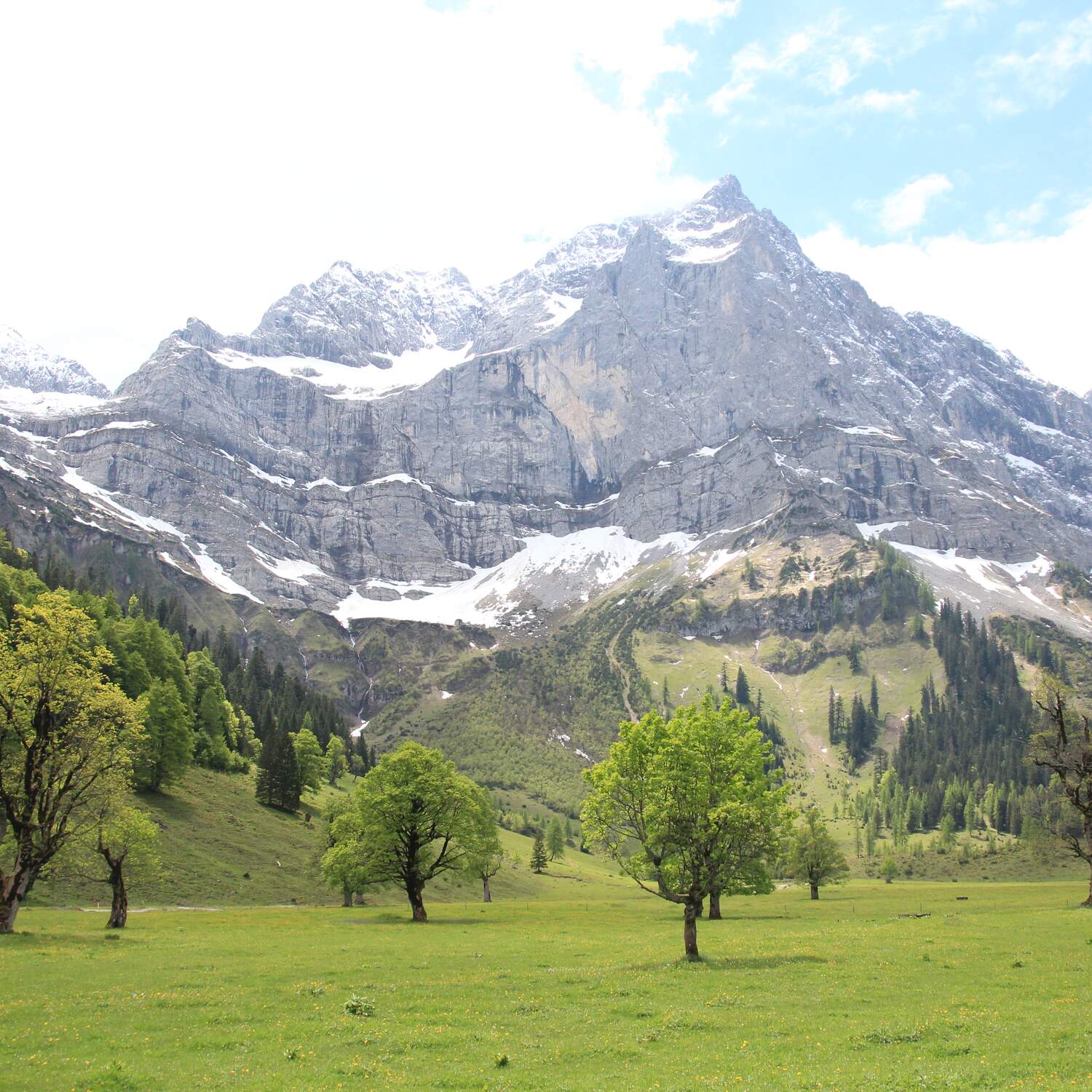 Österreich | Vorderriß 2015
