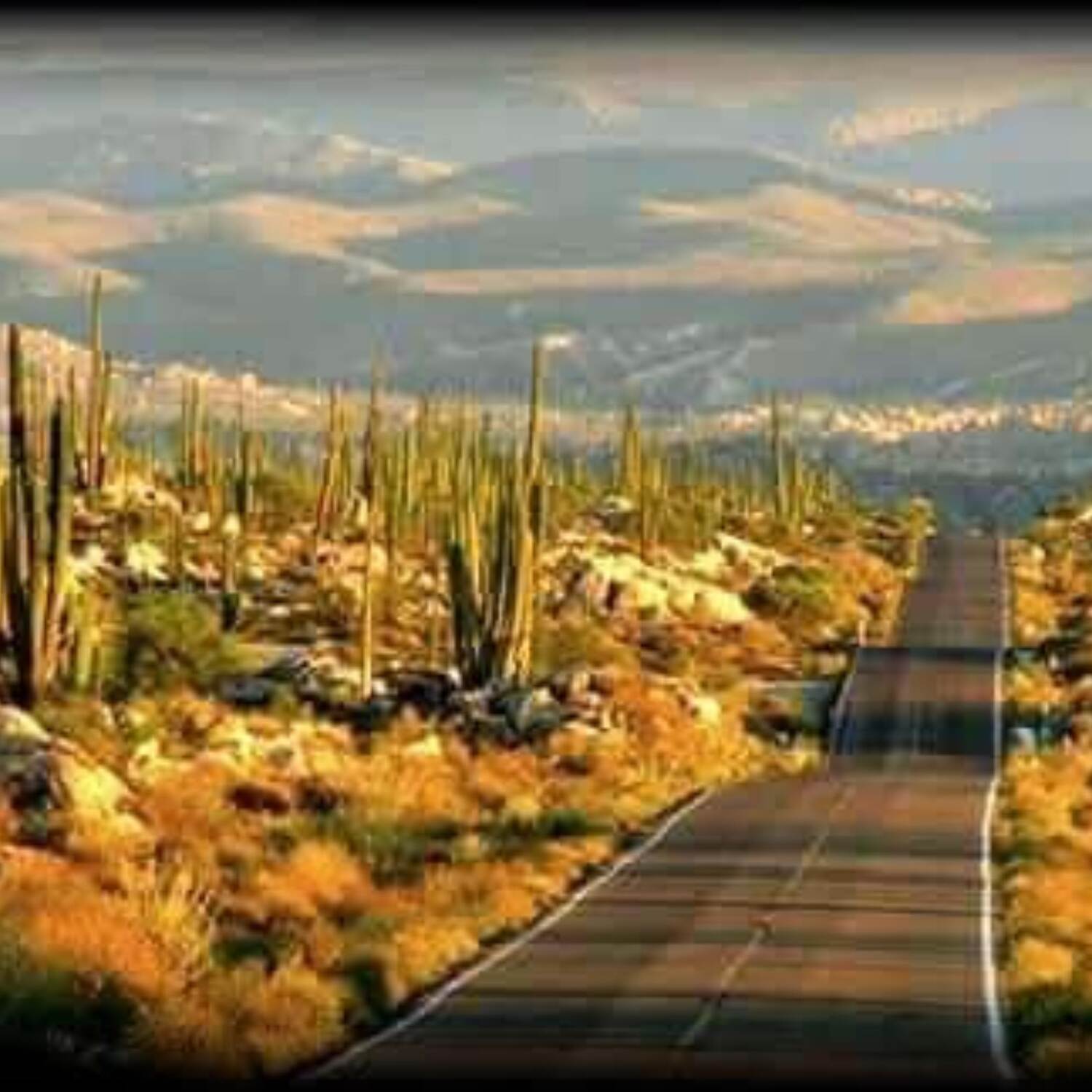 MOVING WEST 2024-2025