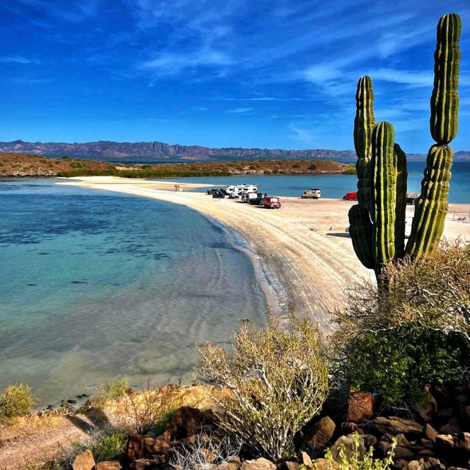 MOVING WEST 2024-2025