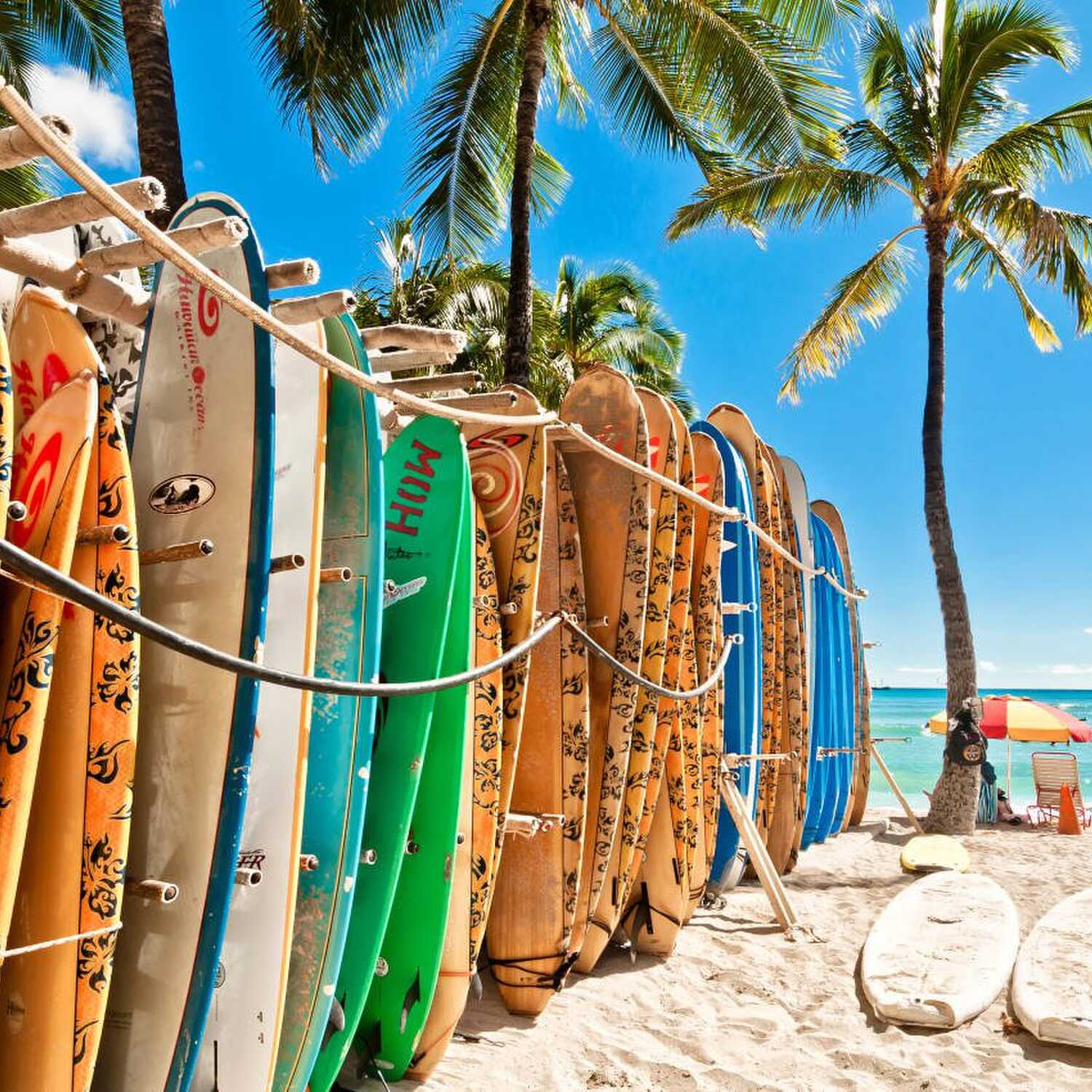 USA Hawaii 2024